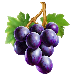 Grape Pattern PNG 93