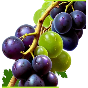 Grape Pattern PNG Hbp