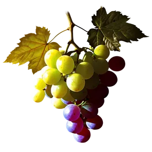 Grape Silhouette Png Ttb51 PNG image