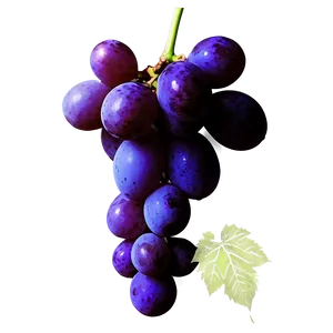 Grape Silhouette PNG Wkg88
