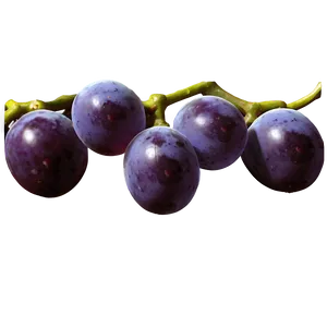Grape Texture PNG 05212024 PNG