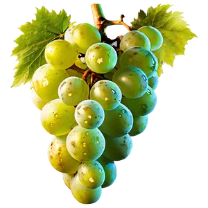 Grape Texture PNG Ghu17 PNG