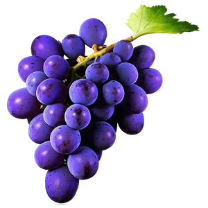 Grape Texture Showcase PNG Wrs40 PNG