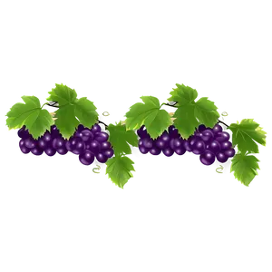 Grape Vine PNG 43