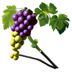 Grape Vine PNG 89