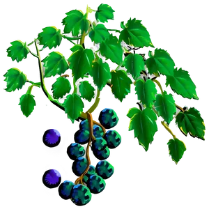 Grape Vine PNG 89