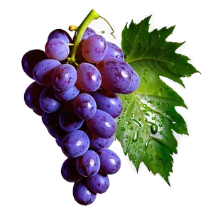 Grape With Dew PNG 05212024