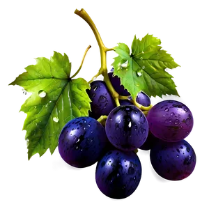 Grape With Dew PNG 32 PNG