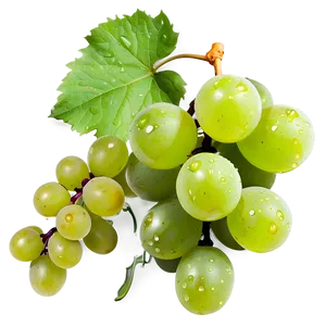 Grape With Dew PNG Hqc93 PNG