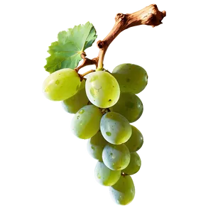 Grape With Dew PNG Taw PNG