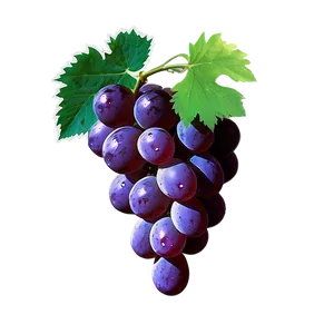 Grape With Leaf PNG Jve22