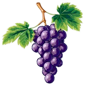 Grape With Leaf Png Yxv39 PNG image