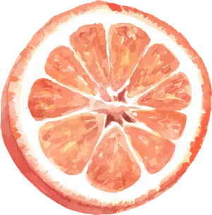 Grapefruit Slice Artistic Rendering PNG