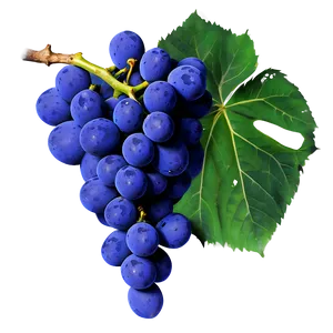 Grapes And Leaves PNG Pra PNG