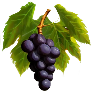 Grapes And Leaves PNG Qky PNG