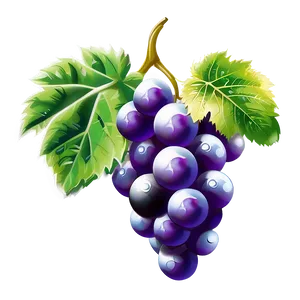 Grapes Art PNG 97