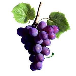 Grapes Art PNG Rae