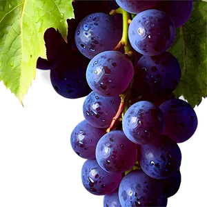 Grapes Background PNG 05242024