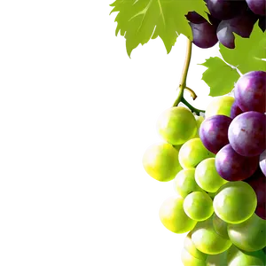 Grapes Background PNG 8