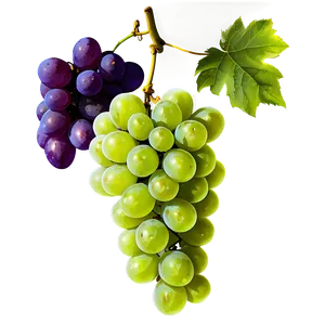 Grapes Background PNG Udt77