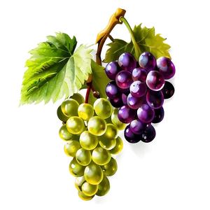 Grapes Background PNG Ujx70