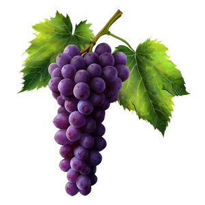 Grapes Bundle PNG 05242024 PNG