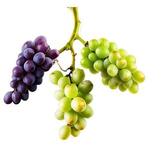 Grapes Bundle PNG 36 PNG