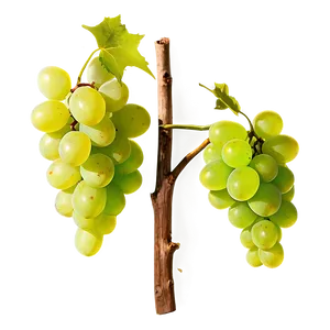 Grapes Bundle PNG Ifq PNG