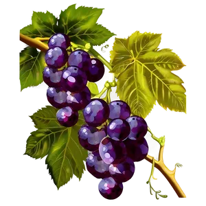 Grapes Clipart Png 05242024 PNG image