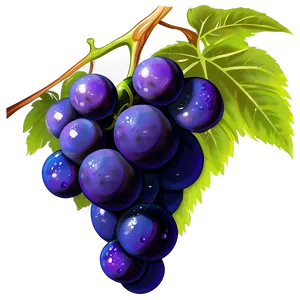 Grapes Clipart Png Tee37 PNG image