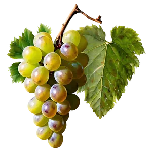 Grapes Cluster PNG Jiv22