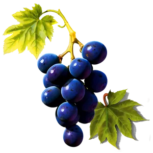Grapes Cluster PNG Rfp