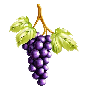 Grapes Decoration PNG Cvq PNG