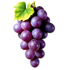 Grapes Decoration PNG Fae