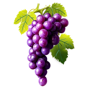 Grapes Decoration PNG Lkr PNG