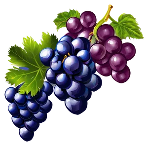 Grapes Drawing PNG 05242024