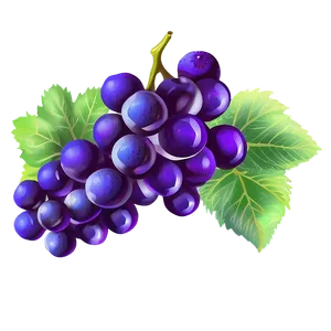 Grapes Drawing PNG 05242024