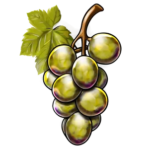 Grapes Drawing PNG 05242024
