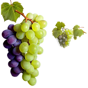 Grapes Frame PNG 05242024 PNG