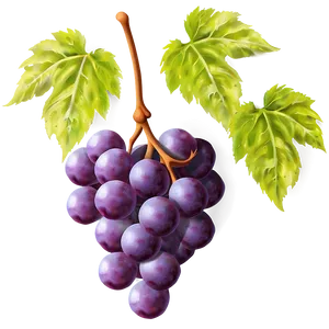 Grapes Frame PNG 05242024