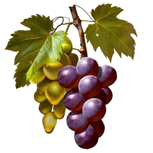 Grapes Graphic PNG 27