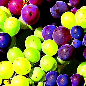 Grapes Harvest PNG 05242024 PNG