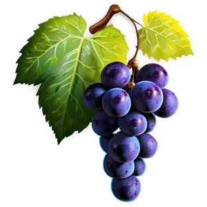 Grapes Harvest PNG Vij75 PNG