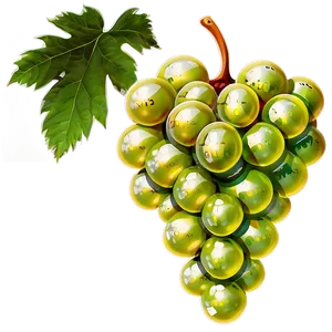 Grapes Icon PNG 4