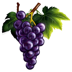 Grapes Illustration Png Dww PNG image