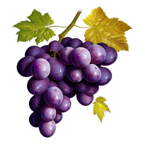 Grapes Logo PNG 05242024 PNG
