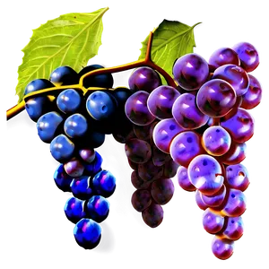 Grapes On Vine PNG 62 PNG