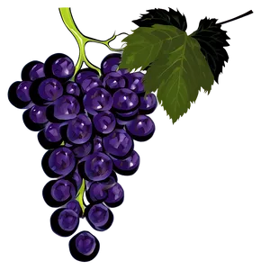 Grapes On Vine PNG 7 PNG