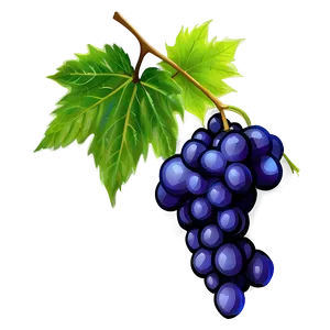 Grapes On Vine PNG Hxi22 PNG