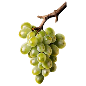 Grapes On Vine PNG Jtj74 PNG